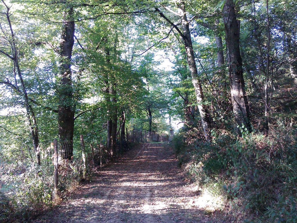 Les Gites de Castera Aire-sur-lʼAdour Exterior foto